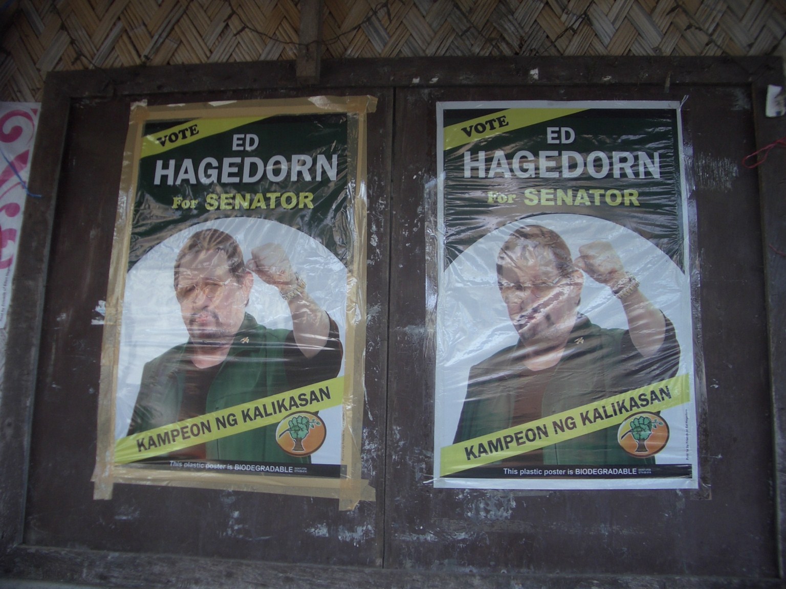 … Ed Hagedorn zum Senator ..