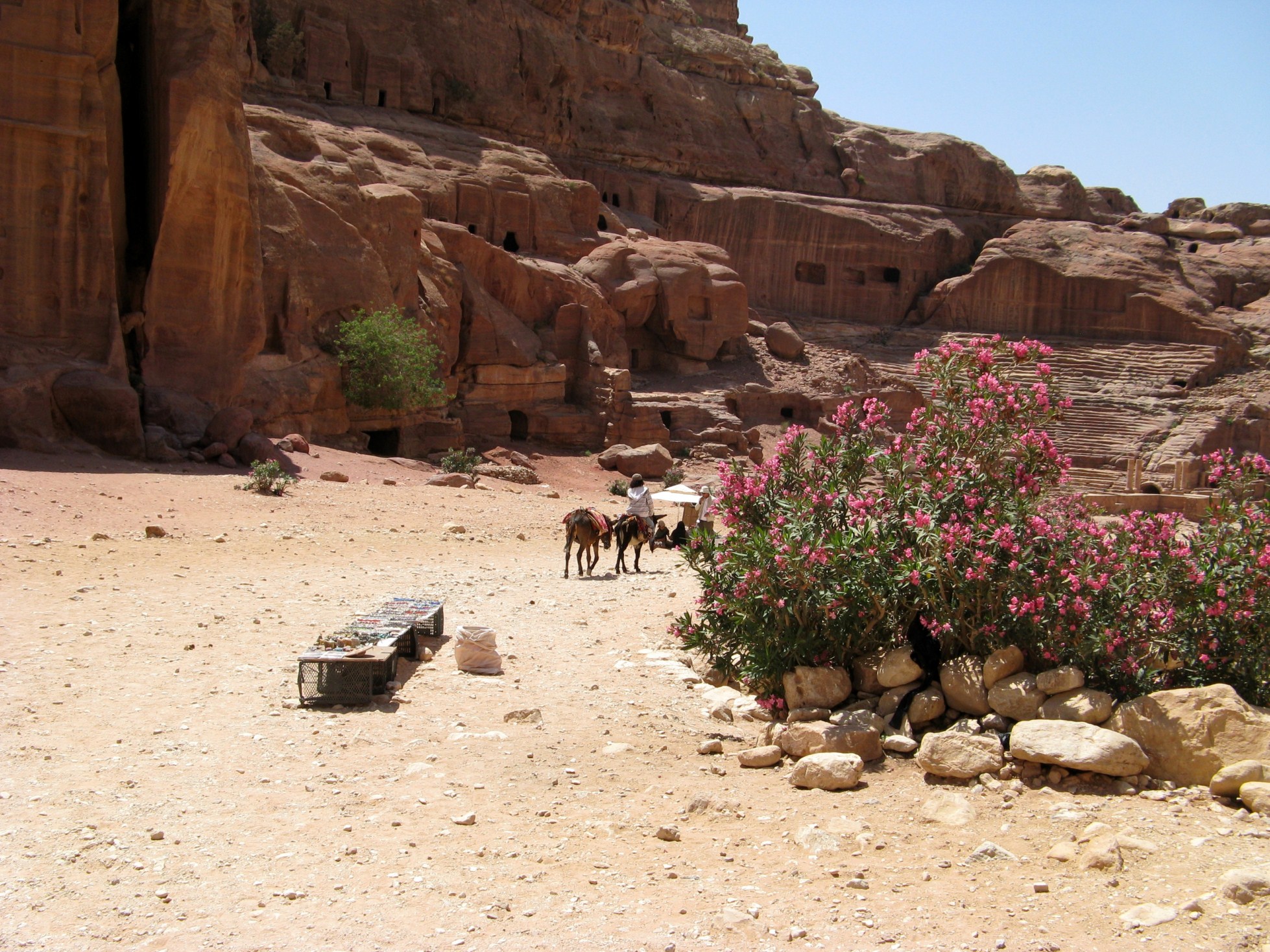 Farbtupfer in der sonst kargen Landschaft in und um Petra.